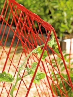 Deluxe Cucumber Trellis 12 Deluxe Cucumber Trellis -Gardeners 39806 542 tif