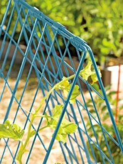 Deluxe Cucumber Trellis 14 Deluxe Cucumber Trellis -Gardeners 39806 BLUE 100 tif