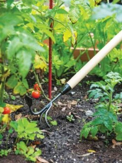 Gardener's Lifetime Long-Handled Double Tool -Gardeners 3 4 crop 8592107 2460 tif