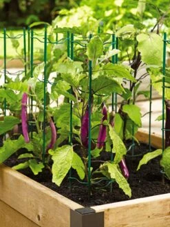 Pepper And Eggplant Stakes, Set Of 3 -Gardeners 40308 2116 tif