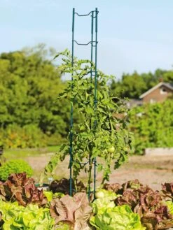 Stacking Tomato Ladders, Set Of 6 -Gardeners 40309 100 tif
