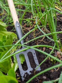 Gardener's Lifetime Spork -Gardeners 8586973 2383 tif
