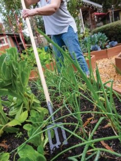 Gardeners -Gardeners 8586973 2385 tif