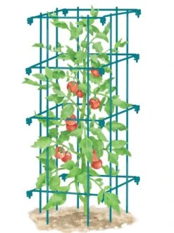 Tomato Cage, Single -Gardeners 8587039 TomatoCage BLUE tif