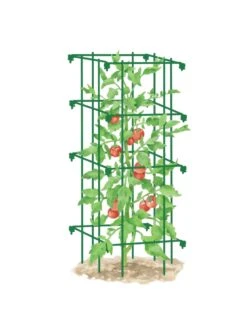 Tomato Cage, Single -Gardeners 8587039 TomatoCage GRN tif