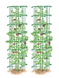 Tomato Towers, Set Of 2 -Gardeners 8587041 0006 GRN tif