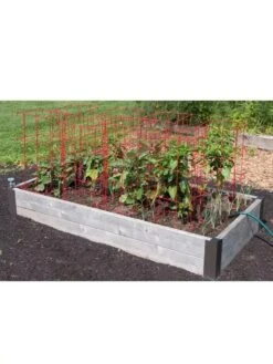 Pepper And Eggplant Cages, Set Of 3 -Gardeners 8587048 6008 3 4