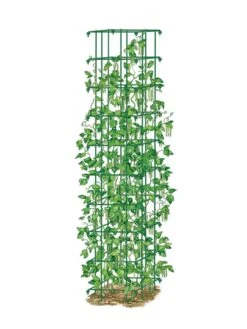 Bean Tower -Gardeners 8587060 0008 GRN tif