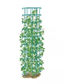 Bean Tower -Gardeners 8587060 BeanTower BLUE