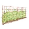 Expandable Pea Trellis -Gardeners 8587061 PeaFence Red 001E tif