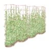 Tall Expandable Pea Trellis 2 Tall Expandable Pea Trellis -Gardeners 8587062 0001 RED tall expandable pea trelis tif
