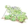 Large Cucumber Trellis -Gardeners 8587082 CukeTrellis L Blk 001E tif