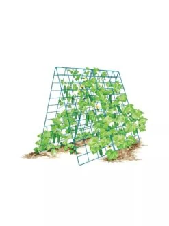 Deluxe Cucumber Trellis 17 Deluxe Cucumber Trellis -Gardeners 8587083 001 BLUE Cukes two sided deluxe cucumber trellis support storm blue 3 4