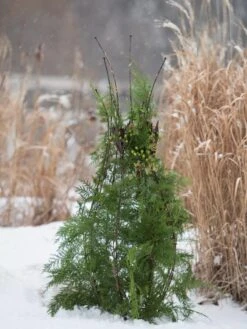 Jardin Pot Trellis 11 Jardin Pot Trellis -Gardeners 8587120 009 tif