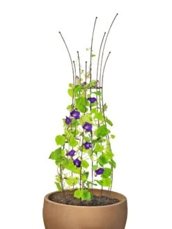 Jardin Pot Trellis 13 Jardin Pot Trellis -Gardeners 8587120 1006 tif