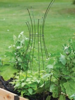 Jardin Pot Trellis 10 Jardin Pot Trellis -Gardeners 8587120 7037 tif