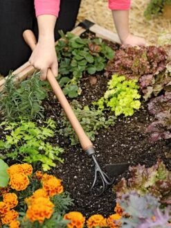 Gardener's Lifetime Raised Bed Cultivator 9 Gardener's Lifetime Raised Bed Cultivator -Gardeners 8587960 0687 tif