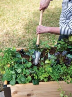 Gardener's Lifetime Raised Bed Trowel 7 Gardener's Lifetime Raised Bed Trowel -Gardeners 8588014 4084 tif