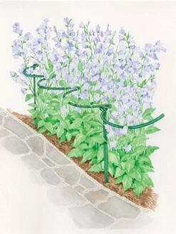 Tidy Path Supports -Gardeners 8588403 003 1