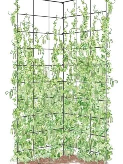 Two Panel Folding Trellis -Gardeners 8589053 002Z tif