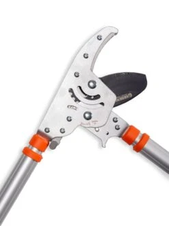 Telescoping Ratchet Loppers -Gardeners 8591285 025 tif