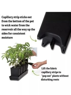 Pop-Out Pots, Set Of 4 -Gardeners 8593943 3