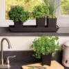 Pop-Out Pots, Set Of 4 -Gardeners 8593943 4731 tif