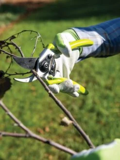 Gardener's Pro Pruner #2 -Gardeners 8596605 032 tif