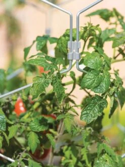 Gardener's Vertex Lifetime Tomato Cage 10 Gardener's Vertex Lifetime Tomato Cage -Gardeners 8598426 0011 tif