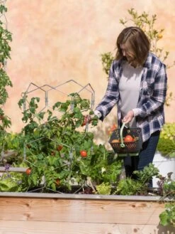 Gardener's Vertex Lifetime Tomato Cage 11 Gardener's Vertex Lifetime Tomato Cage -Gardeners 8598426 0026 tif