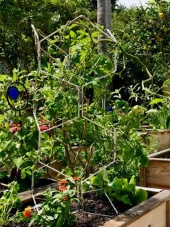 Gardener's Vertex Lifetime Pepper And Eggplant Cage 13 Gardener's Vertex Lifetime Pepper And Eggplant Cage -Gardeners 8599554 01CUST tif