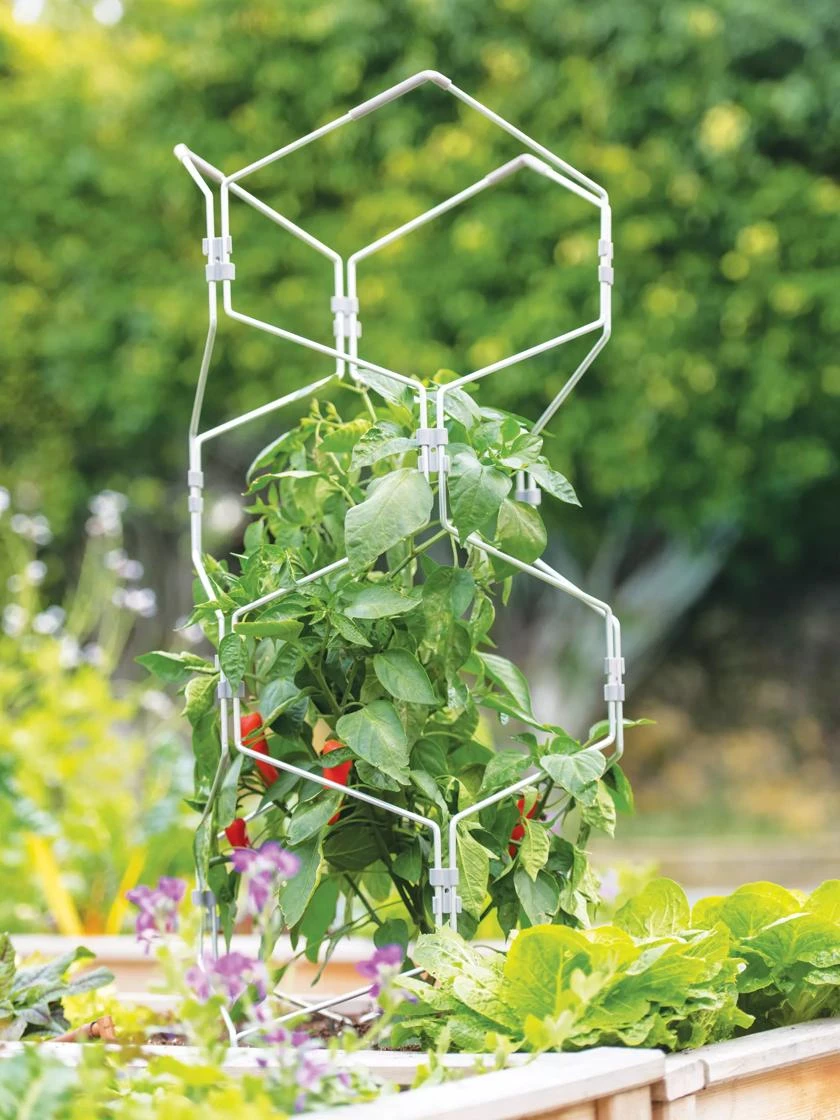 Gardener's Vertex Lifetime Pepper And Eggplant Cage 3 Gardener's Vertex Lifetime Pepper And Eggplant Cage