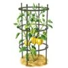 Titan Pepper Eggplant Cages, Set Of 3 1 Titan Pepper Eggplant Cages, Set Of 3 -Gardeners 8599859 0001 art tif