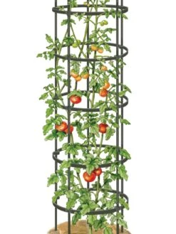 Titan Tall Tomato Cages, Set Of 3 -Gardeners 8599860 0002 art tif