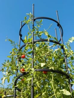 Titan Tall Tomato Cages, Set Of 3 -Gardeners 8599860 0066 tif
