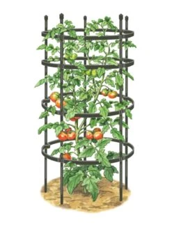 Titan Tomato Cages, Set Of 3 -Gardeners 8599861 0001 art tif