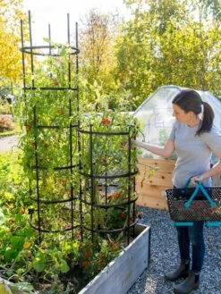 Titan Tomato Cages, Set Of 3 -Gardeners 8599861 0114 tif