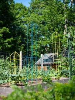 Zenith Folding Garden Supports, Set Of 2 15 Zenith Folding Garden Supports, Set Of 2 -Gardeners 8600072 0449 tif