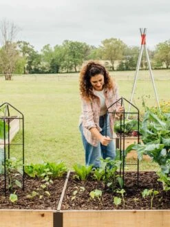 Zenith Folding Garden Supports, Set Of 2 17 Zenith Folding Garden Supports, Set Of 2 -Gardeners 8600073 324 tif