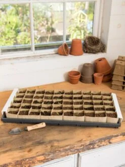 Paper Pots Starter Set -Gardeners 8600273 18521 tif