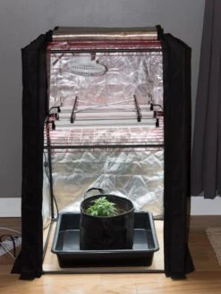 Hemp Grow Kit -Gardeners 8600301 0590 tif