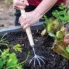 Gardener’s Lifetime 5-Tine T-Grip Raised Bed Cultivator 1 Gardener’s Lifetime 5-Tine T-Grip Raised Bed Cultivator -Gardeners 8600306 3073 tif
