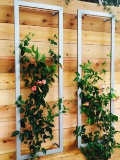 Ina Modern Wall Trellis Sr. -Gardeners 8600510 06V tif