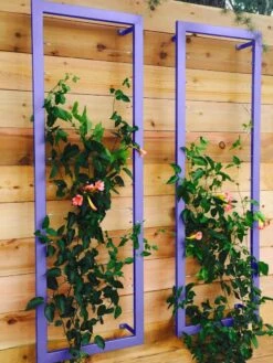 Ina Modern Wall Trellis Sr. -Gardeners 8600510 07V tif