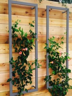 Ina Modern Wall Trellis Sr. -Gardeners 8600510 08V jpg