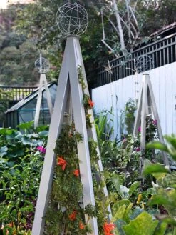 Akoris Garden Tuteur Jr. 14 Akoris Garden Tuteur Jr. -Gardeners 8600517 07V tif