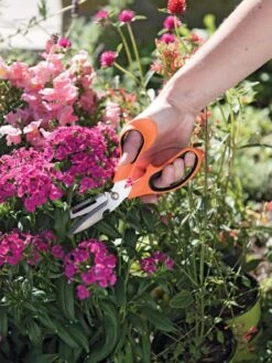 Gardener's Multi Purpose Scissors -Gardeners 8608655 19551 tif