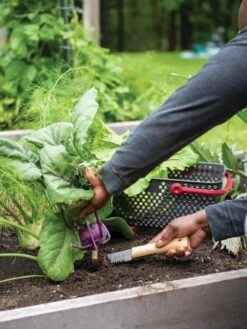 Gardener's Lifetime Hori Hori Knife 9 Gardener's Lifetime Hori Hori Knife -Gardeners 8608888 0422 tif