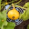 Melon And Squash Cradles, Set Of 6 -Gardeners 8609464 0235 tif