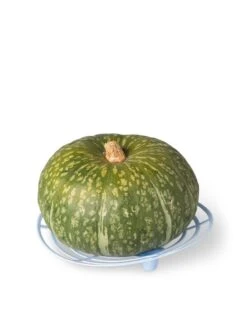 Melon And Squash Cradles, Set Of 6 -Gardeners 8609464 5204 tif